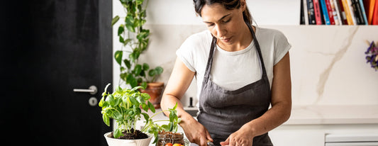 Marmitas saudáveis no Porto Eat Fit com entrega em 24h