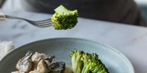 strogonoff de frango